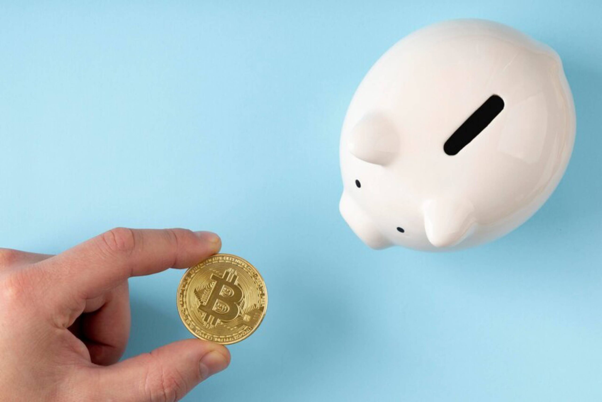 A hand holds a gold Bitcoin in front of a white piggy bank against a light blue background, symbolizing cryptocurrency savings.